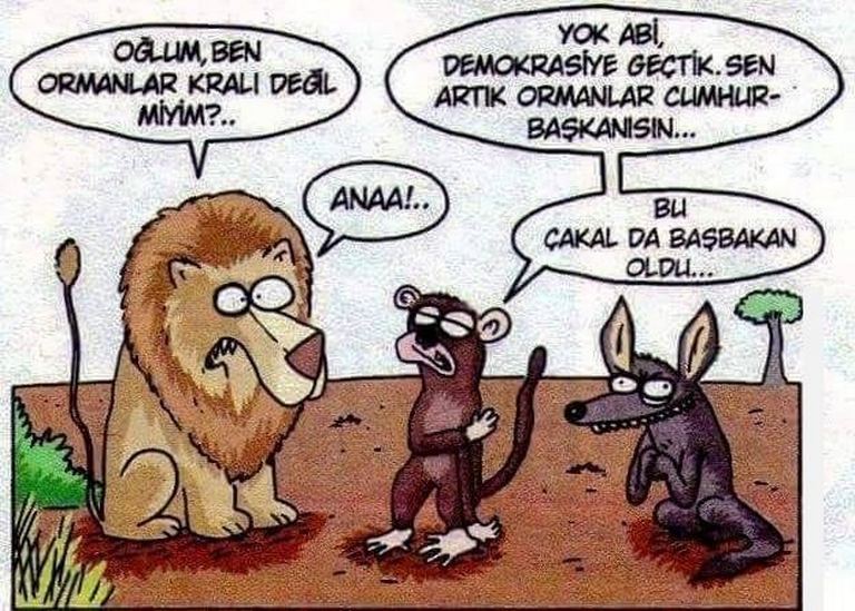Karikatur001087