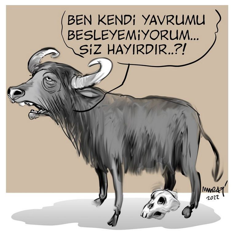 Karikatur002904