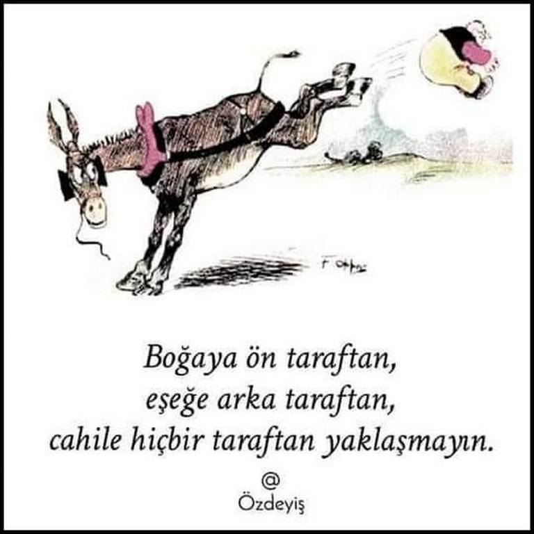 Karikatur002976
