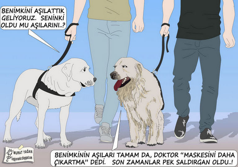 Karikatur004815