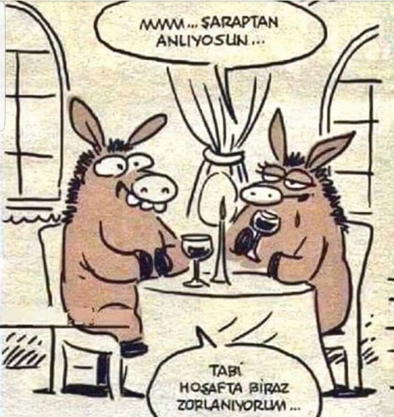 Karikatur005886