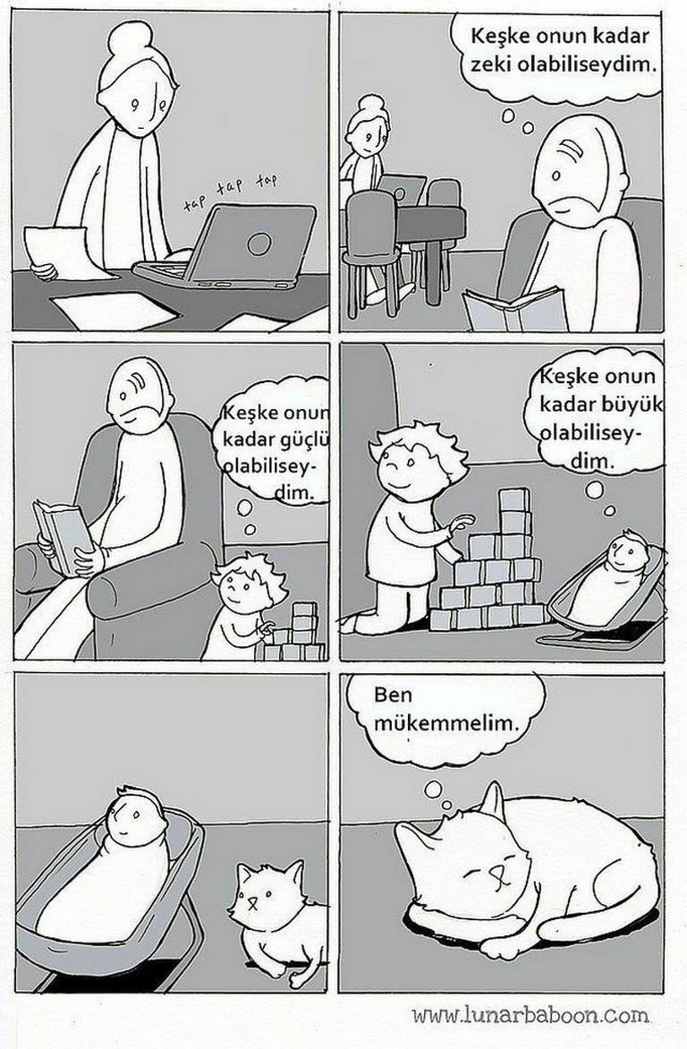Karikatur006055