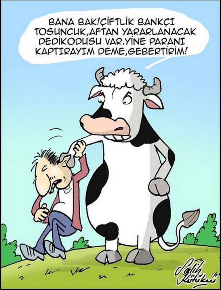 Karikatur006575