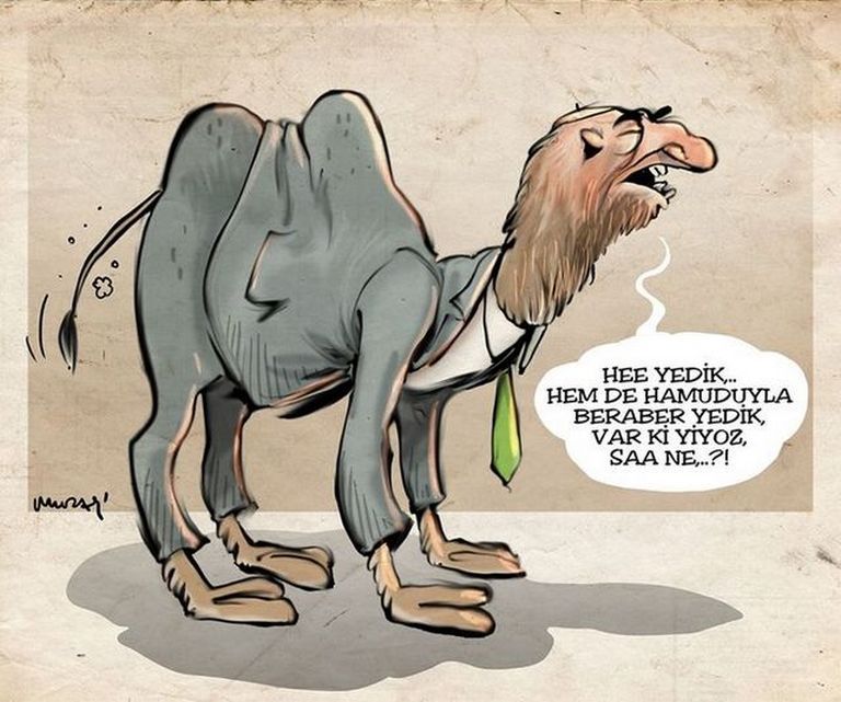 Karikatur008660
