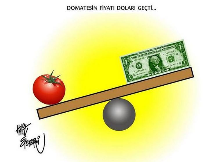 Karikatur008996