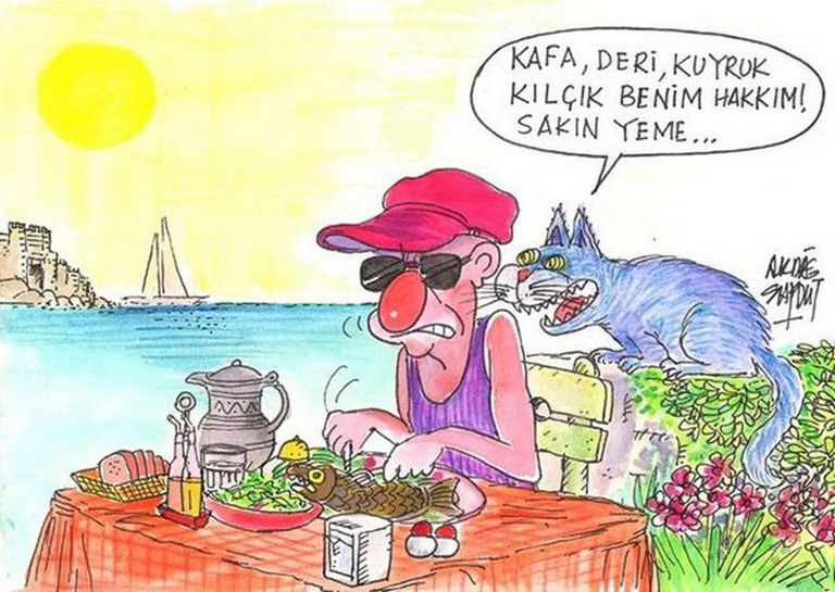 Karikatur013509