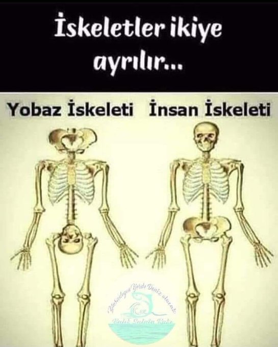 Karikatur019577
