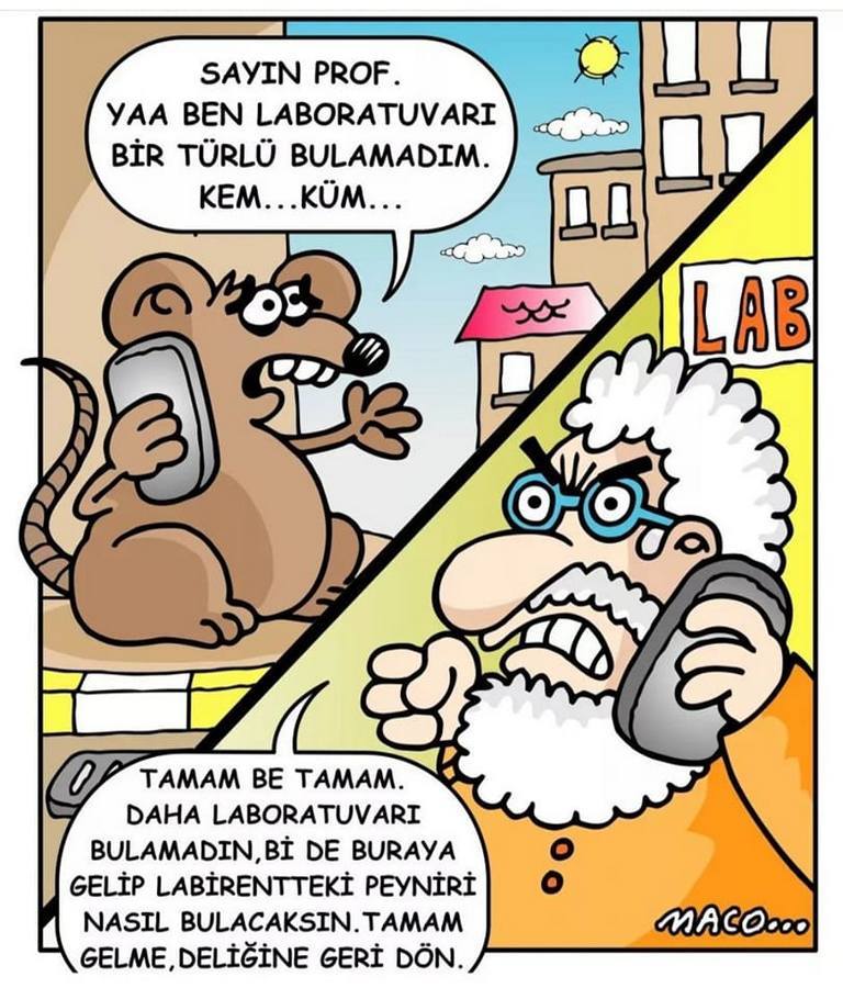 Karikatur020440