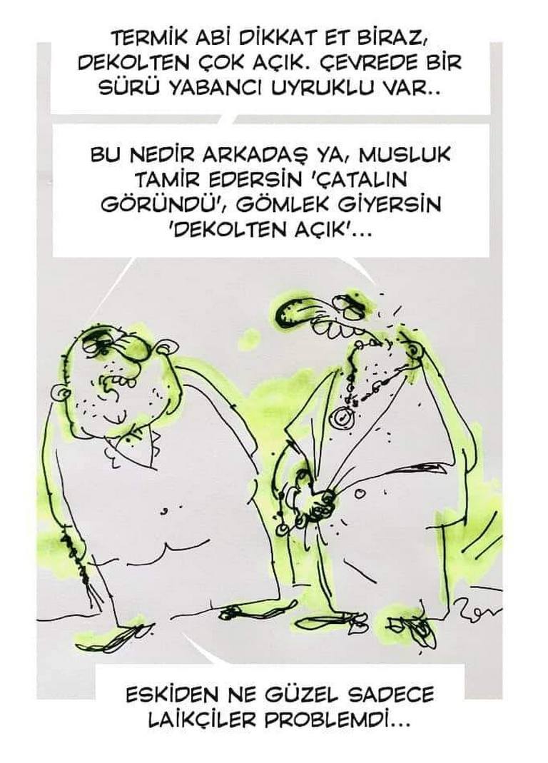 Karikatur020513