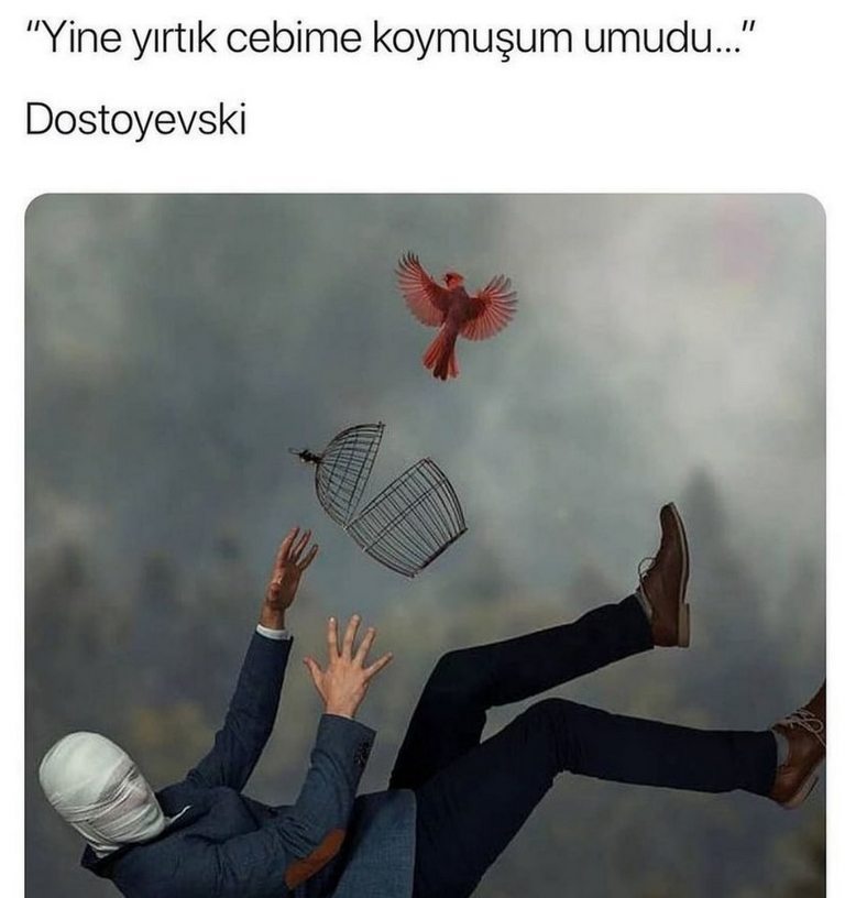 Karikatur020802