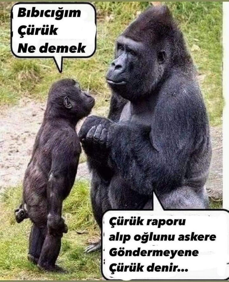 Karikatur020803