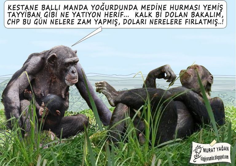 Karikatur021166