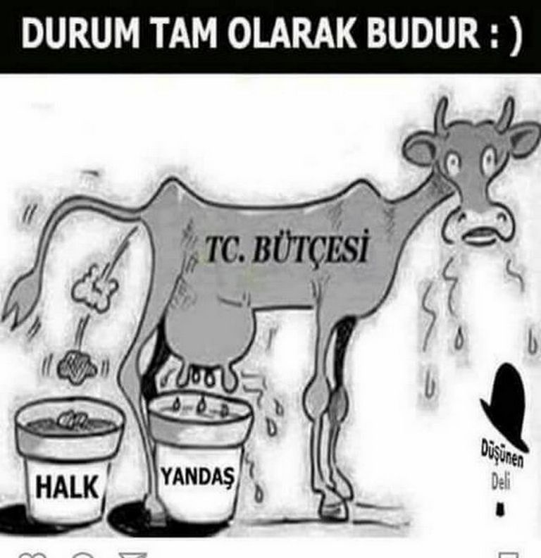 Karikatur023005